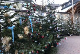 WEIHNACHTSWALD – ORANGE THE WORLD